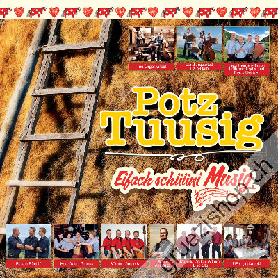 Diverse - Potz-Tuusig - Eifach schüüni Musig (CD28526)