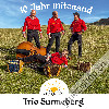 Trio Sunneberg - 10 Jahr mitenand (CD28540)